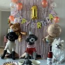 주인아 까까사줘 이미지