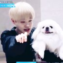 오늘의개스트 티스토리