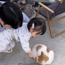 소풍시1947 이미지