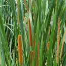 시민문화체육공원 산책로 이미지