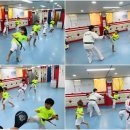 반송월드태권도 이미지