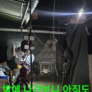 머꼬요 Daum카페