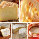 프랑스 치즈의 세계 이미지