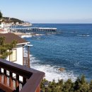 영덕바닷가솔밭펜션 이미지