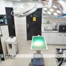 호담동물병원 이미지