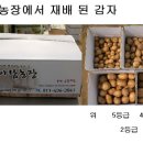 병천농장 이미지