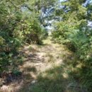 서도면-1 이미지