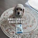 에이티면역 | 엘레강스펫 가수분해간식 추천💗 알러지 걱정 줄여주는 프레쉬져키 리뷰!