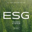 빌바오 티스토리