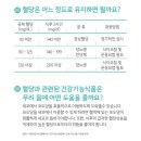 마이뉴스킨