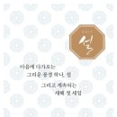 세일로주 이미지