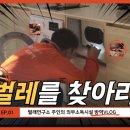 하나방역북부산지점