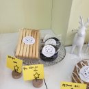 쁘띠꼬숑 이미지