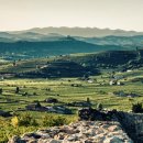 소아베(Soave)