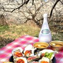 섬진강순환1 | 2026 광양 매화축제 먹거리 총정리 (벚굴·칠게 튀김·재첩 비빔밥 후기 + 효능까지)