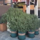 할리스커피 아산우체국점 이미지