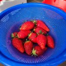 장희농장 이미지