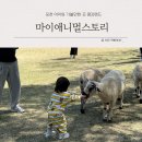 평강하우스 | 포천 아이와 가볼만한 곳 먹이체험가능 “마이애니멀스토리 in평강랜드” 내돈내산 후기