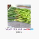 손재탁마늘쫑10kg 65000원 섬들농장