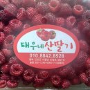 백용기농장 네이버블로그