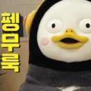 케이바디