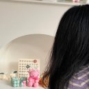 프리모먼트