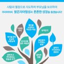 신명태권도장 이미지
