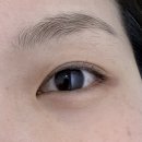 모브리띵(Mo:verything) | 장안동 모브리띵 왁싱샵에서 속눈썹펌 소프트브이 컬로 또렷한 눈매 완성