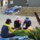 하늘숲글램핑 이미지