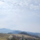 한우목장 이미지