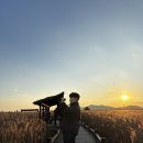 순천만 그리고 나 | 순천 여행 필수코스, 순천만 스카이큐브 요금·탑승 위치·이용 시간 정리