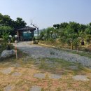 부적면사무소 이미지