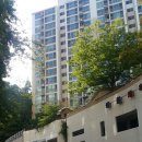 대림아파트앞 이미지