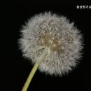 동삼장기요양기관 | 부산요양원 동삼장기요양기관 부산 영도에서 믿을 수 있는 요양원