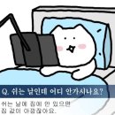 이안애 이미지