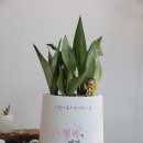 시립운정하우스디 어린이집 이미지