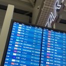 라이브구이 이미지