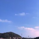 아따 어찌 인자오셨소 | 겨울 목포 맛 기행 vol. 2 - 목포수산시장, 동부시장, 스카이워크 노을 구경, 홍어회