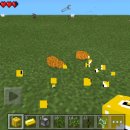 럭키포켓 이미지