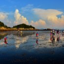 동광리농촌체험휴양마을 이미지