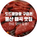 도드람마을 - 남구 돋질로 301 | 도드람마을