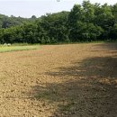 일석농장 이미지