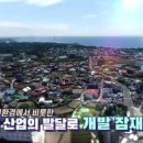 몽돌스테이 이미지