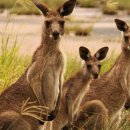 세기 행정사 사무소 이미지