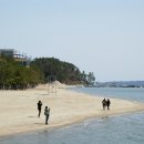 보성녹차리조트 이미지