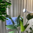 명동미용실 이미지