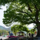 치산2리경로당 이미지