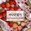 화성 아이와갈만한곳 입장료 없이 딸기따기체험 더나은딸기