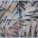 닥터모락 계양구청점 이미지