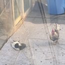 장수천농장 이미지